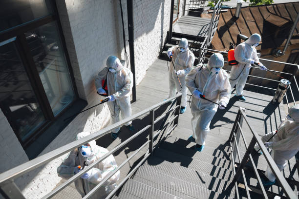 Best Basement Mold Removal  in Mooresville, NC