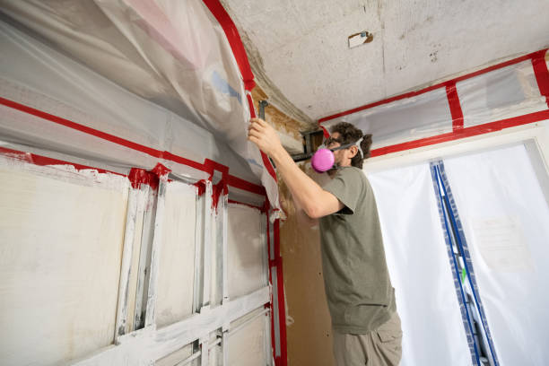 Best Mold Removal for HVAC Installations  in Mooresville, NC