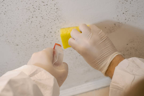 Best Forensic Mold Investigation  in Mooresville, NC