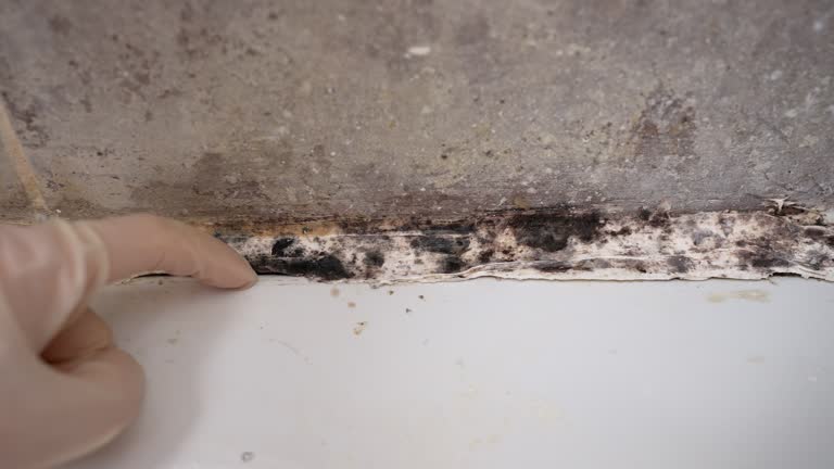 Best Industrial Mold Remediation  in Mooresville, NC